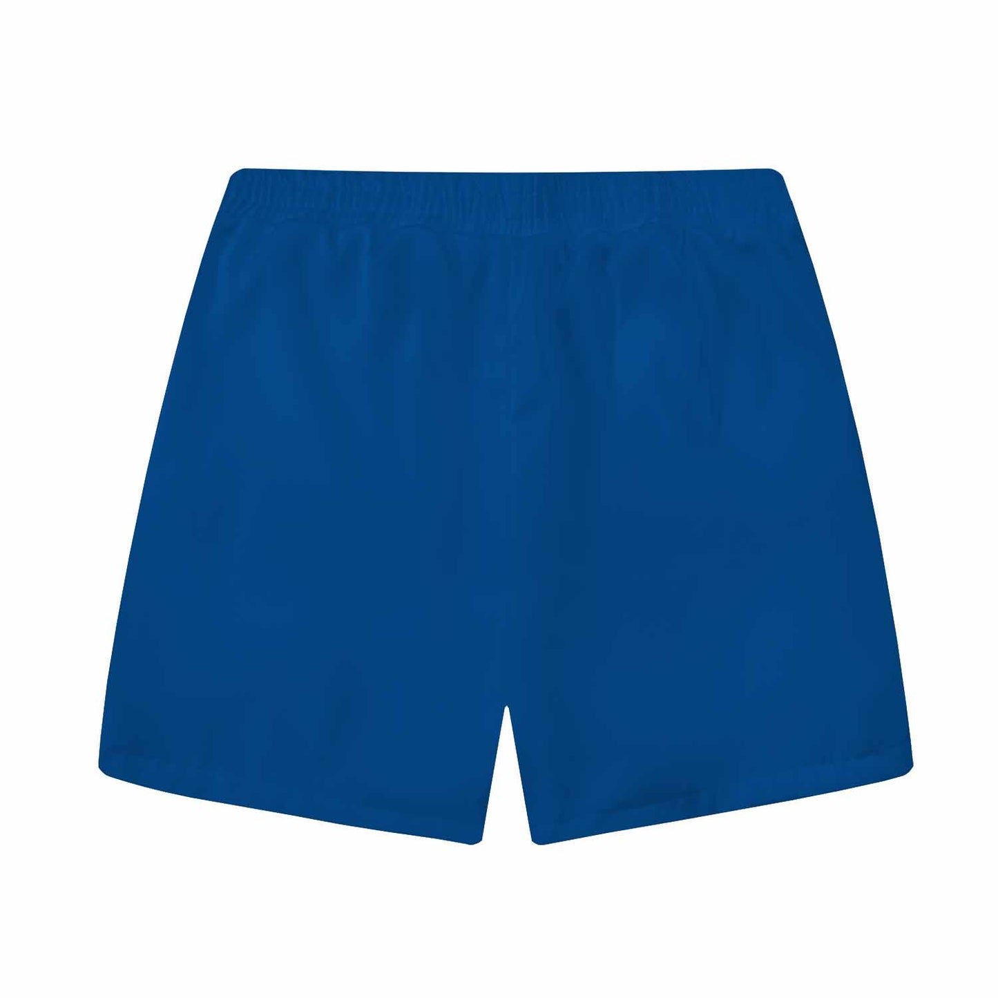 Sardine Pattern Blue And White Check Elastic Waistband Summer Casual Shorts