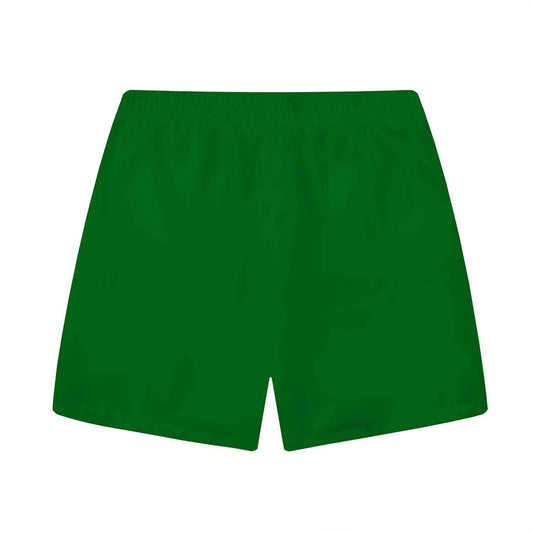 Green Vertical Stripes Elastic Waistband Summer Casual Shorts